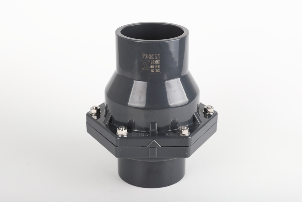 桦甸翻板式止回阀